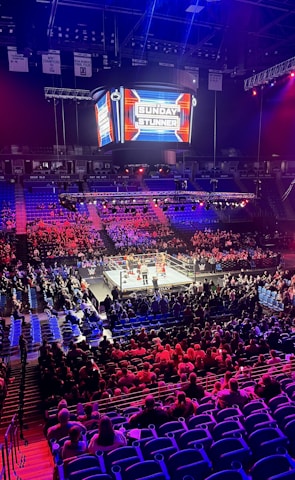 An indoor arena is filled with people watching a wrestling match. The ring is centrally located, and surrounded by audience members sitting in tiered seating. The arena is illuminated with red and blue lights, and a large overhead screen displays 'Sunday Stunner.' Spectators are engrossed in the match taking place in the well-lit ring.